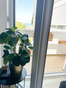 Balkón nebo terasa v ubytování Apartman's M4 Stay by the Sea Kali