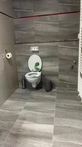 łazienka z toaletą z rośliną w obiekcie Downtown Boutique apartments w mieście Liberec