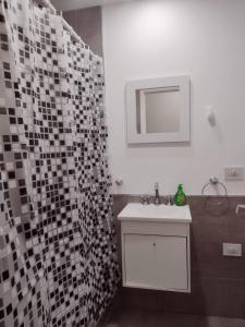 羅伯斯的住宿－DTo CÉNTRICO LOBOS 1 B，浴室配有盥洗盆和带镜子的淋浴