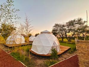 Zahrada ubytování Glamping Xochitepec