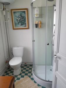 a bathroom with a toilet and a glass shower at Penthouse en bleu royal in Vinça