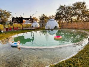 Bazén v ubytování Glamping Xochitepec nebo v jeho okolí