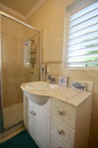 ein weißes Bad mit einem Waschbecken und einer Dusche in der Unterkunft STUDIO Apt Bright comfy with pool on South Coast in Bridgetown