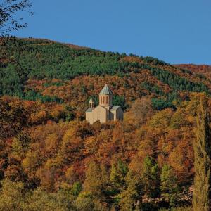 ein Gebäude an der Seite eines Hügels mit Bäumen in der Unterkunft Cottage in Racha Khoteura in Ambrolauri