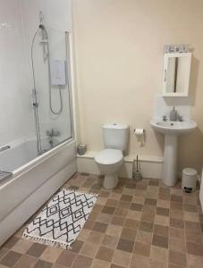 a bathroom with a shower and a toilet and a sink at Little Stone Farm Cottage in South Molton