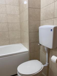 a bathroom with a white toilet and a bath tub at Apartment Varezić in Plužine