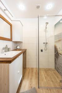 a bathroom with a shower and a sink at Uroczysko Lubajny in Idzbark