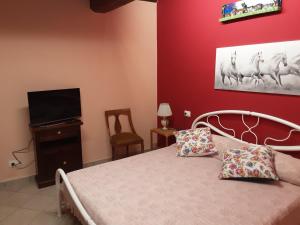 1 dormitorio con 1 cama y TV de pantalla plana en La casetta di nonna Sesa en Viterbo