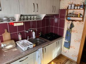 a kitchen counter with a sink and a stove at Domek Myśliwski Wilkasy Zalesie in Wilkasy