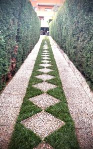 a walkway between two hedges in a garden at Al civico 28 in Santa Marinella