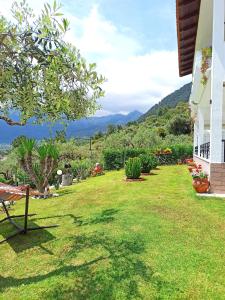 a garden with a view of the mountains at Studios Maria in Chrysi Ammoudia