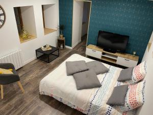 Schlafzimmer mit einem Bett und einem Flachbild-TV in der Unterkunft Gîte La Rive Gauche in Saint-Même-les-Carrières