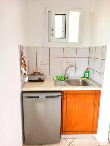 uma pequena cozinha com um lavatório e uma máquina de lavar louça em Studios Maria em Chrysi Ammoudia