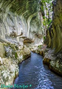 une rivière dans un canyon avec des rochers et de l'eau dans l'établissement All In Jacuzzi Apartment, à Petroşani