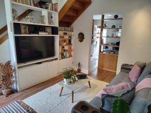 uma sala de estar com um sofá e uma televisão em Quarto de solteiro/casais em Teresópolis