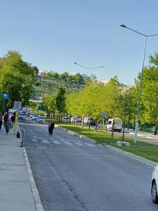 een koe die over een straat loopt in een stad bij B.A.A Sabiha Gökçen in Istanbul