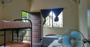 a room with two bunk beds and a window at Cocos Hostel in Moyogalpa