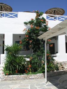 A garden outside Hotel Helena