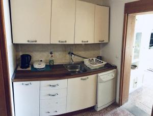 Kuchyňa alebo kuchynka v ubytovaní Apartments by the sea Korcula - 14612