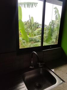 Poás的住宿－El Buda，厨房水槽和植物景窗户