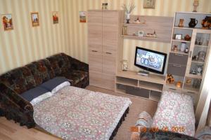 uma sala de estar com um sofá e uma televisão em Apartments Amber Riga em Riga