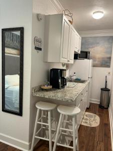 Dapur atau dapur kecil di Tampa Citrus Park