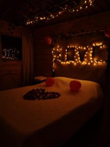 a bedroom with a bed with lights on it at Glamping entre bosques in La Calera