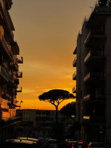 un coucher de soleil dans une ville avec un arbre et des bâtiments dans l'établissement B&b Vesuviano, à Ercolano