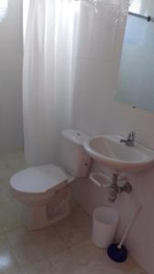 ein Bad mit einem WC und einem Waschbecken in der Unterkunft Cabaña Mi negra linda in Calao