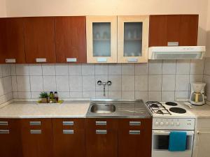 a kitchen with a sink and a stove and cabinets at Apartment Nela in Brna