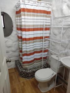a bathroom with a shower curtain and a toilet at Pirca Hostal in San Pedro de Atacama