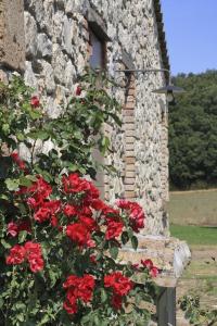 オルテにあるVilla Orteの石造りの建物の前の赤いバラの茂み