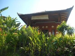 a house with a lot of plants in front of it at Cegeng Lestari Guesthouse in Sidemen