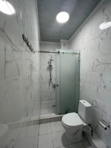 a bathroom with a toilet and a glass shower stall at Keruen Deluxe in Taraz