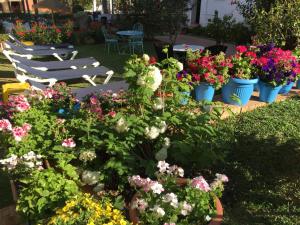 Ogród w obiekcie Hotel Carmen Teresa