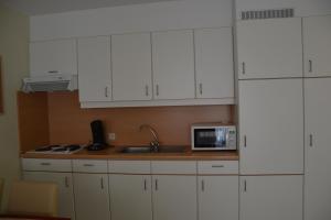 Kuchyň nebo kuchyňský kout v ubytování Lindehof Serviced Flats