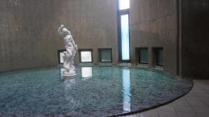 Πισίνα στο ή κοντά στο 24時間源泉掛け流しGuest House Belle Hakone