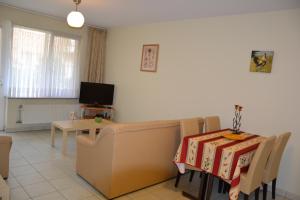 TV a/nebo společenská místnost v ubytování Lindehof Serviced Flats