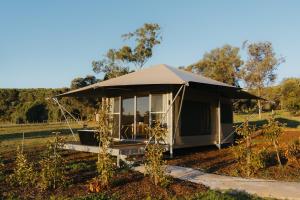 a tent in the middle of a field at CANVS by CABN Seppeltsfield Barossa in Seppeltsfield