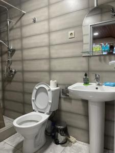 uma casa de banho com um WC e um lavatório em Mtskheta Wellpoint Arsukidze 48 em Mtskheta