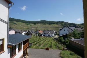 a view of a village with a vineyard and houses at Ferienwohnung Familie Kirsten in Piesport