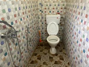 łazienka z toaletą i prysznicem w obiekcie Jasmine Homestay Darjeeling w mieście Dardżyling