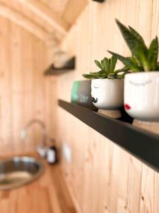 a bathroom with a sink and a shelf with plants at Roulotte „douceur“ in Condom