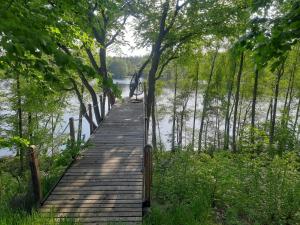 a wooden boardwalk leading to a lake with trees at Domek nad jeziorem Gowidlińskim in Podiazy +6 photos