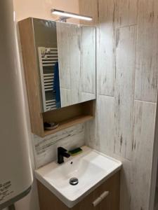 une salle de bain avec un lavabo et un miroir dans l'établissement Appartement Cosy à 300m de la Mer / Cosy flat at 300m from the sea, à Merlimont 17 autres photos