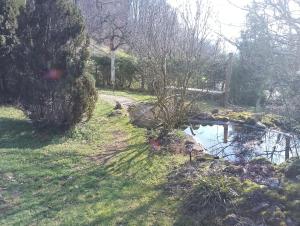 a garden with a pond and trees and a bridge at Casa Valentina 