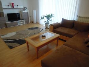 Televízia a/alebo spoločenská miestnosť v ubytovaní Holiday Home Villa Ivan