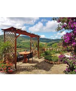 a wooden gazebo with a table and chairs at Iris nel Borgo in Greve in Chianti
