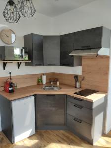a kitchen with a sink and a counter at Le vulcain in Le Hommet-dʼArthenay