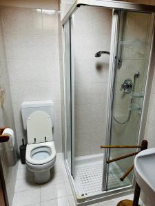 een badkamer met een toilet en een douche bij Tess’home in Pontebba